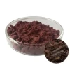  Gromwell Pigment